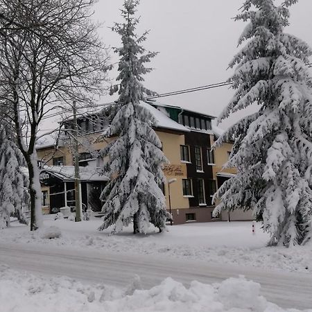 Penzion Svycarsky Dum Sneznik Exterior foto